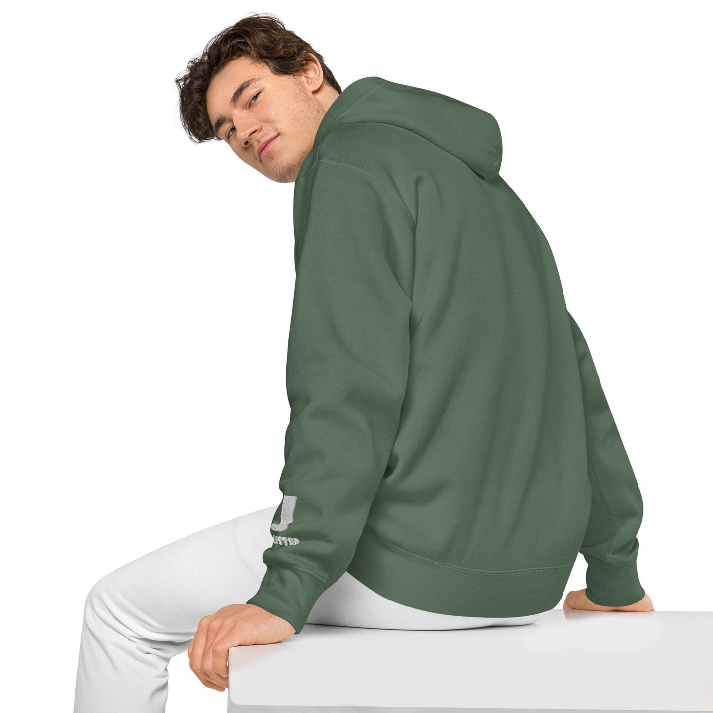 Silly Seal Independent - Animal PFP Collection - Unisex pigment-dyed hoodie JclustersShoppeofFineWares