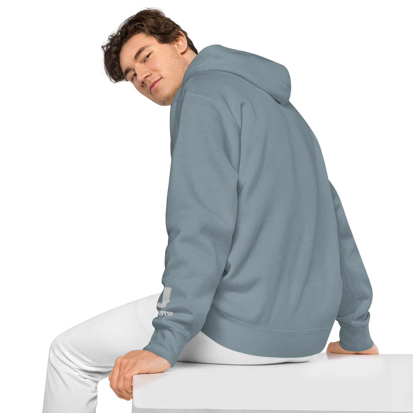 Silly Seal Independent - Animal PFP Collection - Unisex pigment-dyed hoodie JclustersShoppeofFineWares