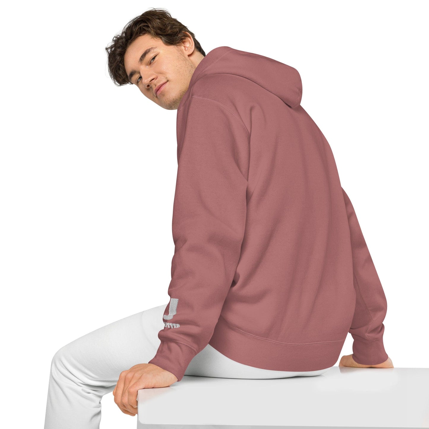 Silly Seal Independent - Animal PFP Collection - Unisex pigment-dyed hoodie JclustersShoppeofFineWares