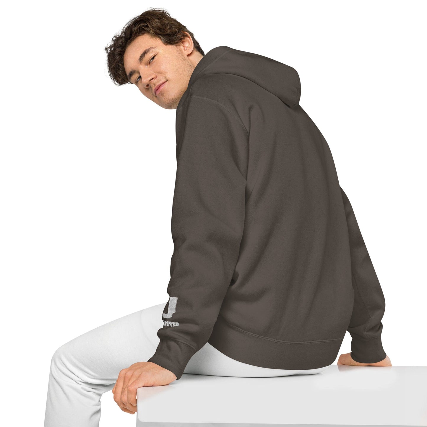 Silly Seal Independent - Animal PFP Collection - Unisex pigment-dyed hoodie JclustersShoppeofFineWares