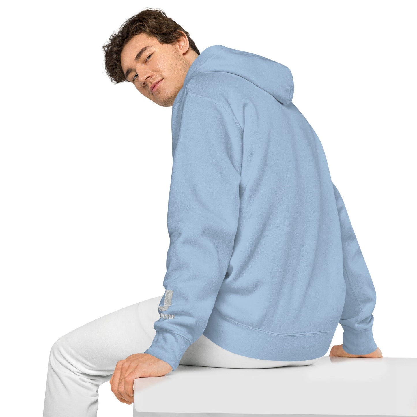 Silly Seal Independent - Animal PFP Collection - Unisex pigment-dyed hoodie JclustersShoppeofFineWares
